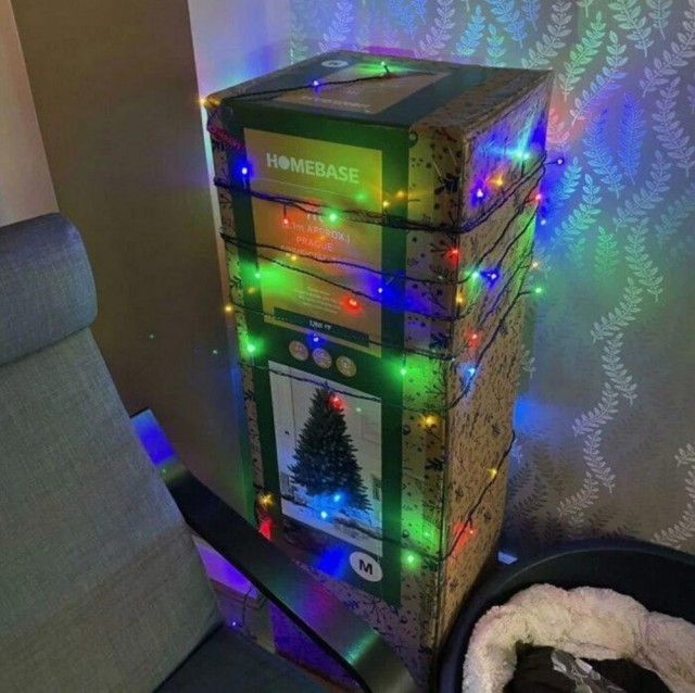 Бояны