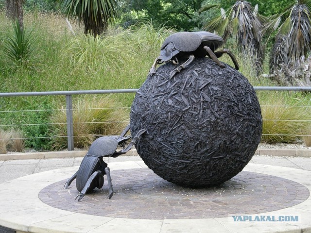 NASA: на Марсе и Луне движутся странные объекты