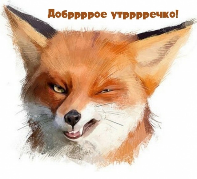 Лисухи и не лисухи