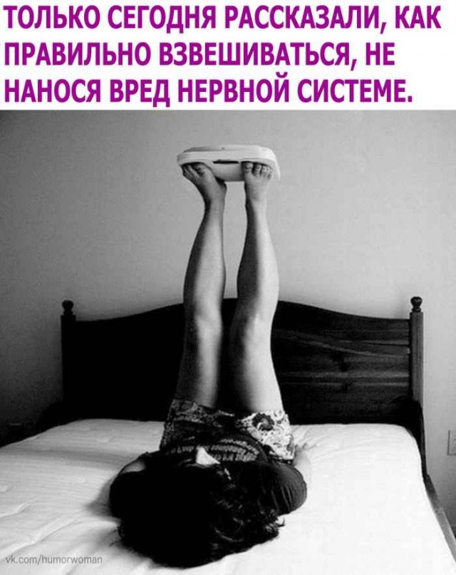 Весёлый полтишок 18.03.2025