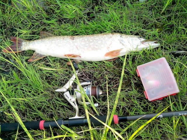 Подумал, решил, сделал