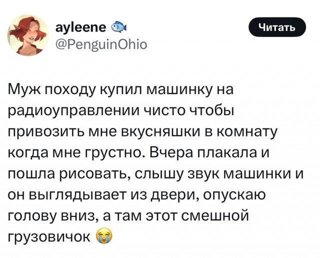 Так себе картинки 27.05.25