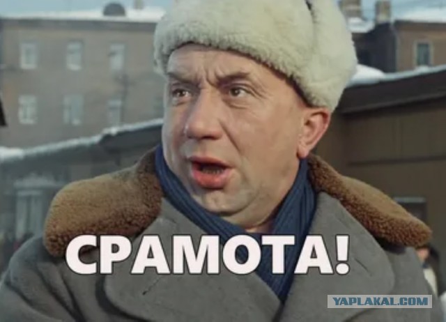 Причины женской мозгоебли
