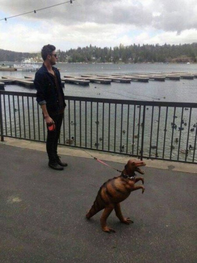 Надо бы занести