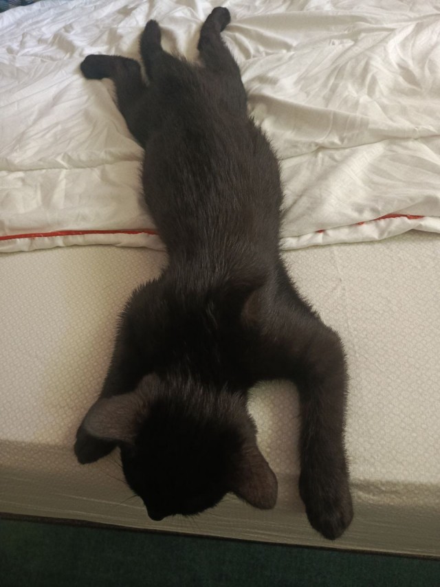 Его первый вторник