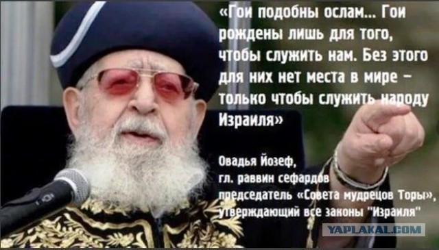 Легко отделалась