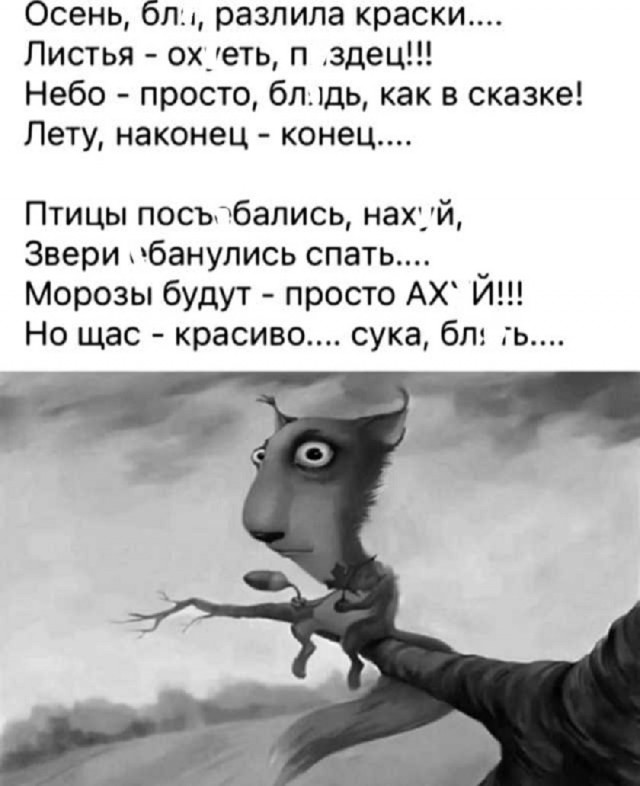Так себе картинки 08.09.25