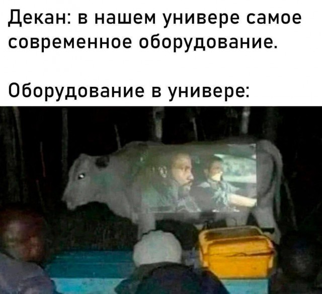 Потная гамсахурдия №1 (Картинки)