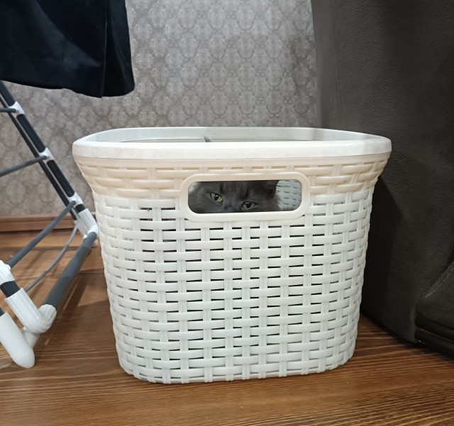 Я в домике