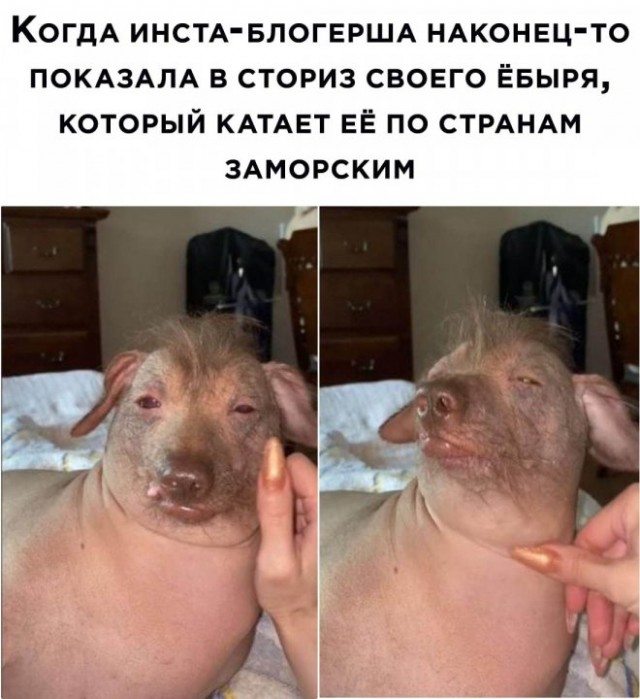 Веселые картинки в пятницу (20.03)
