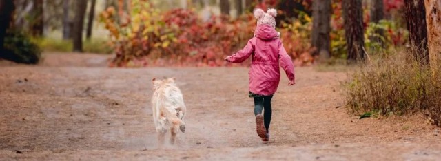 Девочка сбежала из астраханского детсада и на нее напали собаки