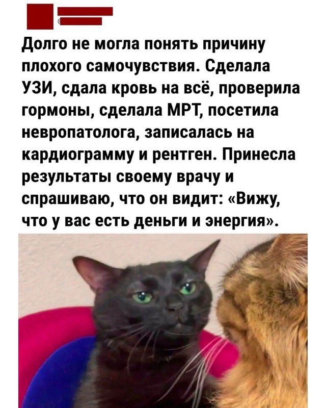 Так себе картинки 24.07.26