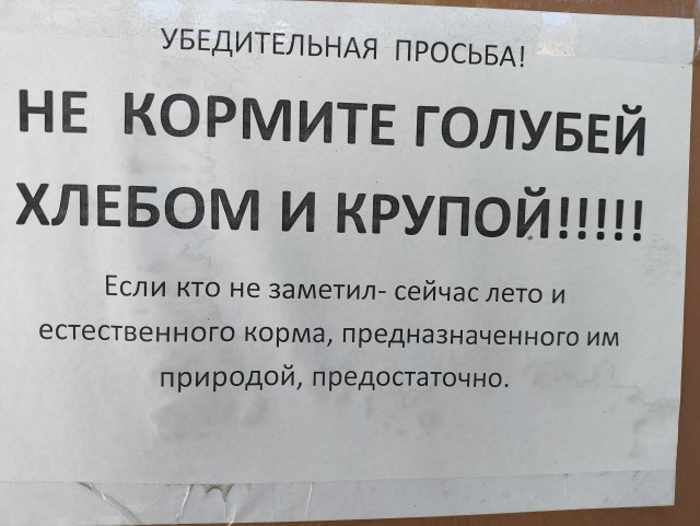 Объявленице