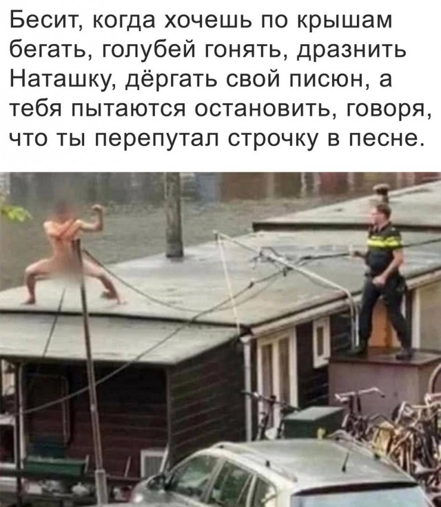 Картинки для деградации 282 (разной степени свежести)