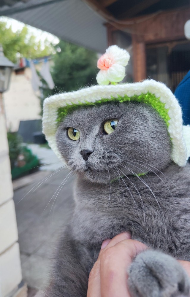 18 лет!
