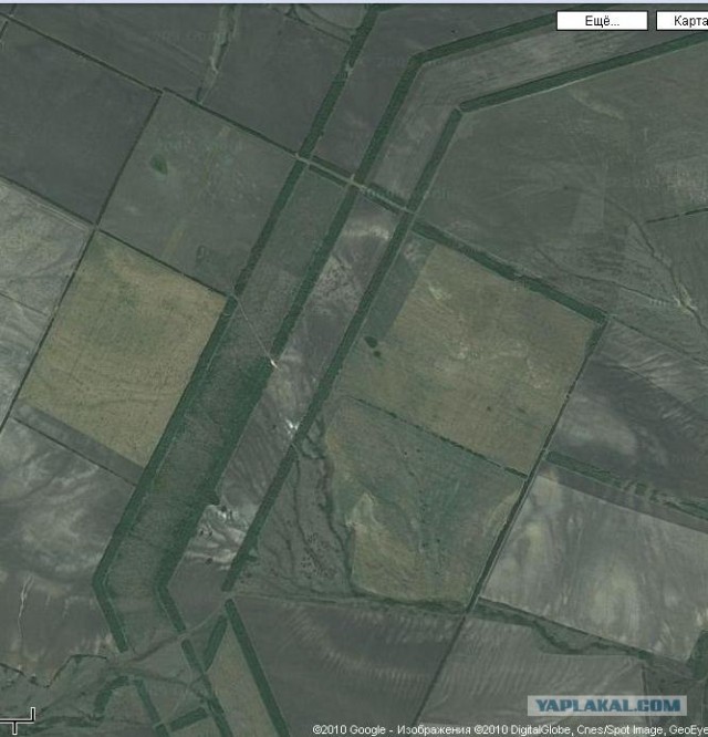 Google Earth - лесозаграждения