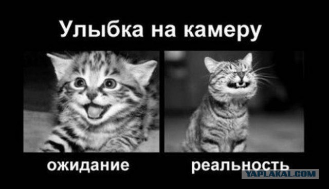 Ожидания VS Реальность