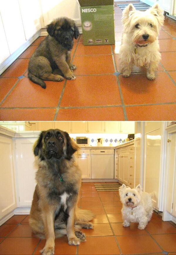 Не прошло и полгода