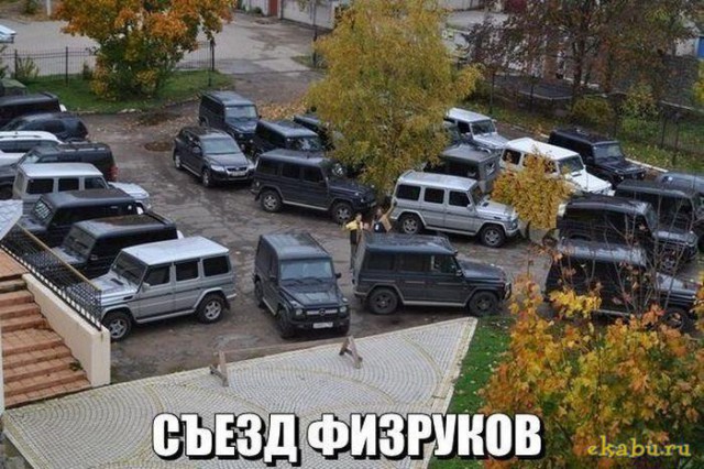 Крик души