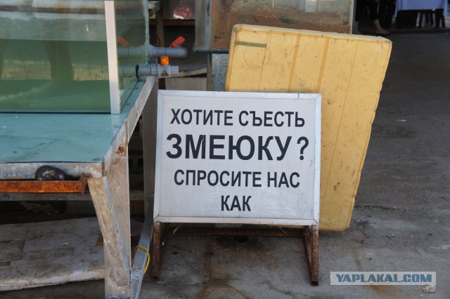 Отдых во Вьетнаме.
