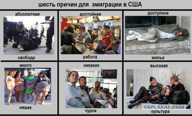 Ждем новый бунт...