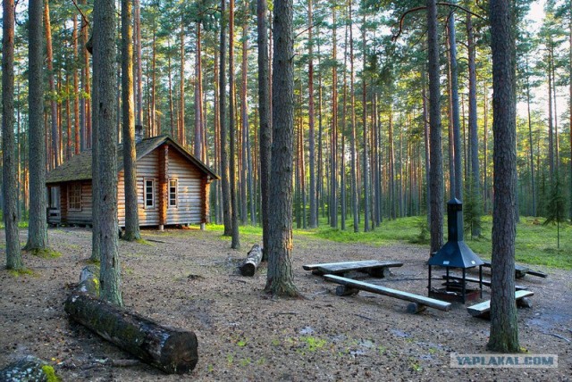 Сохраняйте природу...