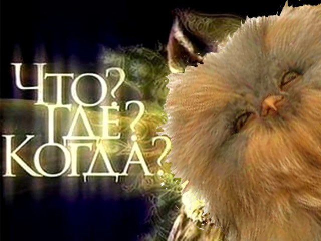 Маленькие совята...