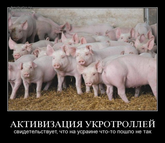 Год майдану. Не забудем, не простим!