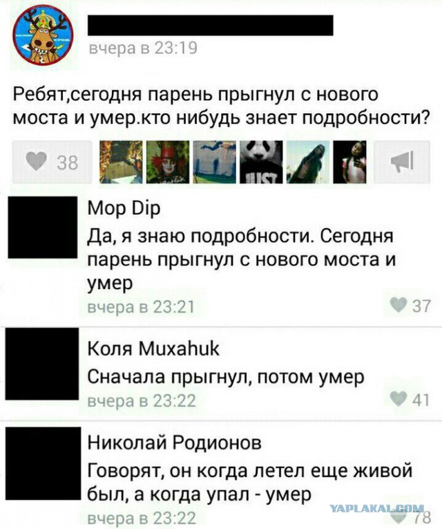 Забавные картинки из сети