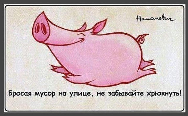 Ответ юзеров сети на появление нового мема Ничоси