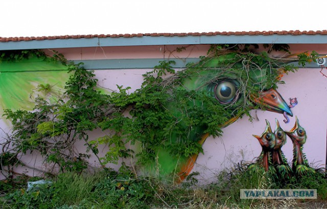 Реалистично до невозможности: уличное искусство