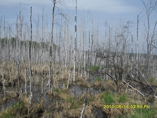 За что я люблю свой край