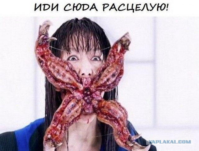 Австралия? Австралия