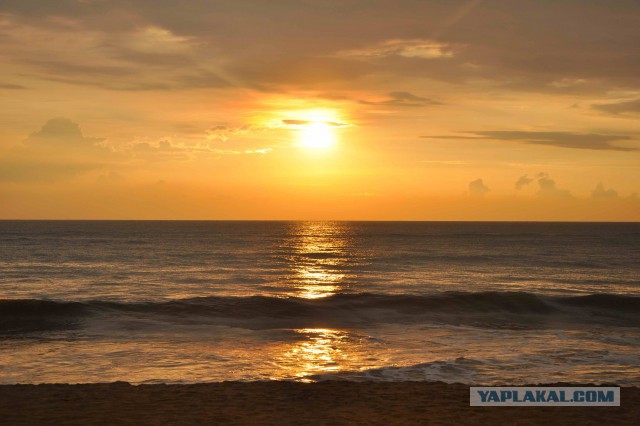 Самостоятельное путешествие в Шри-Ланку