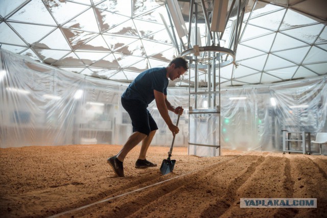 Бездушная посадка картошки