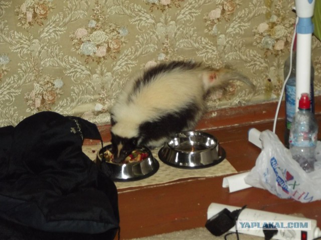 Моменты, заставляющие меня верить в человечество...