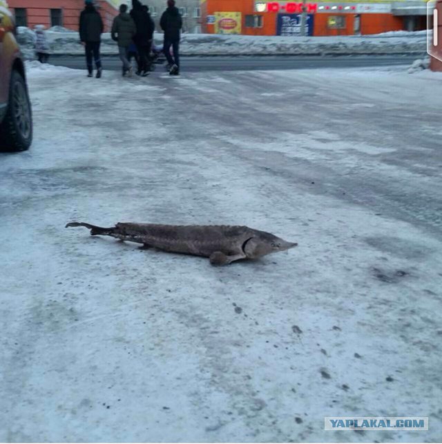 В аэропорту Норильска ветром снесло Boeing