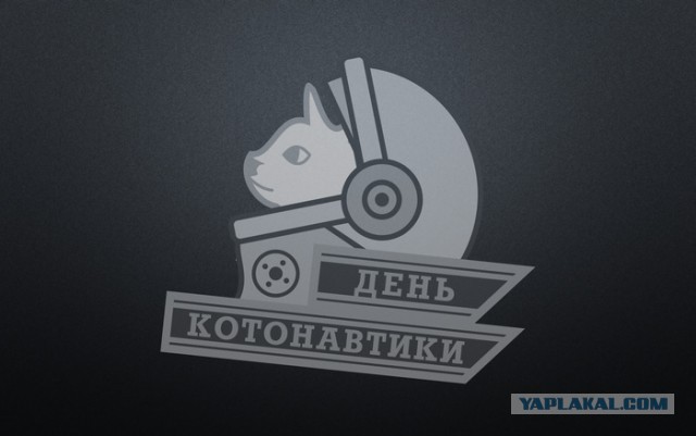 Комдив и Кот