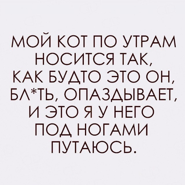 Всякая всячина
