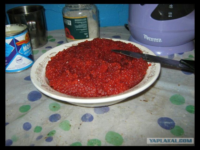 Камчатка. Бухта Русская