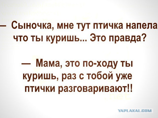 Минутка лёгкой наркомании и деградации