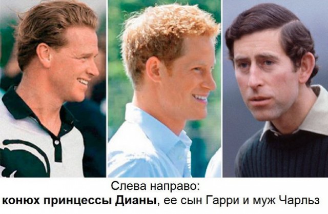 Фотографии, доказывающие, что генетика — штука непредсказуемая