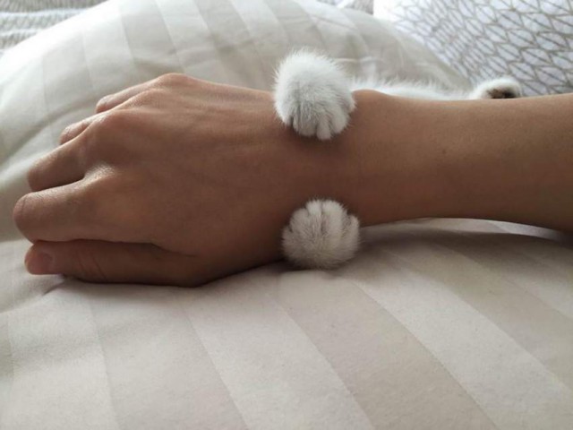 Немного милоты