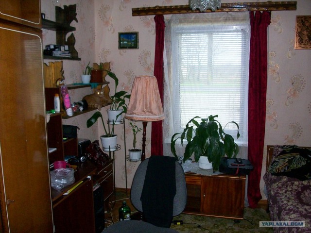 Котовторник 24.04.2012