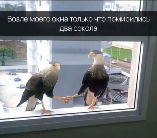 Немного картинок для настроения