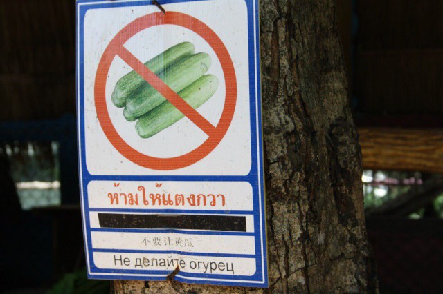 Картинки