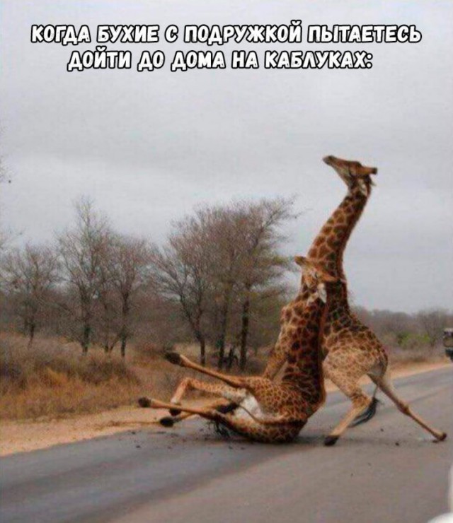 Немного картинок для настроения