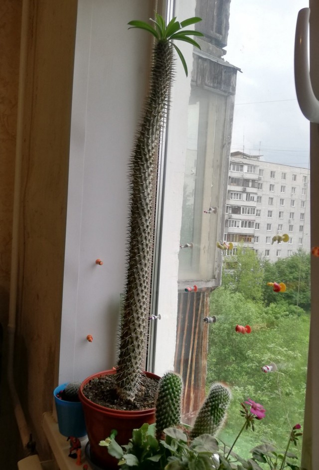 Подборка интересных и веселых картинок 28.05.19