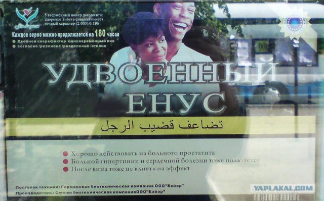 Удвоенный пенис