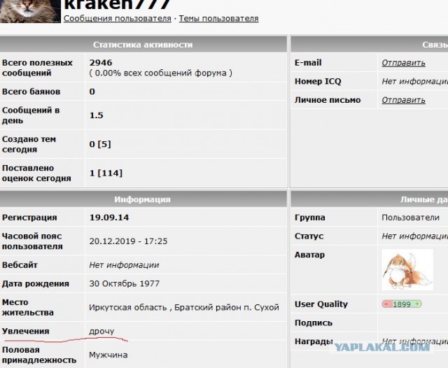 Красноярские мужики поехали в тайгу за дровами, а вернулись с медом